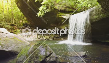 Köpek katliam Falls
