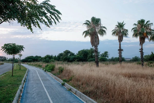 Hermosas palmeras de Turquía a lo largo de la carretera bici. Concepto destinos turísticos — Foto de Stock