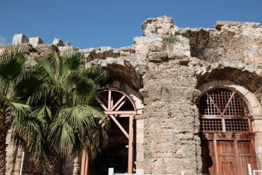 Yüzyıllardır yıkılmış eski bir Yunan binasının arka planında duran bir palmiye ağacı. 