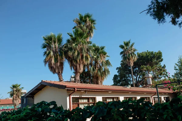 Huis in een palm grove tegen een blauwe lucht. Reisbestemmingsconcept Azië — Stockfoto