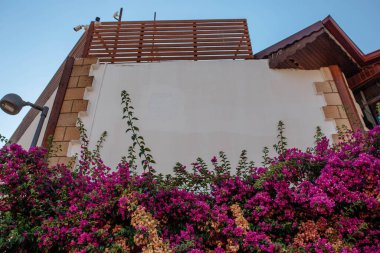 Binaların dışını. Modern binanın ön cephesi taze kıvırcık çiçeklerle süslenmiştir. Evin dış tasarım konsepti.