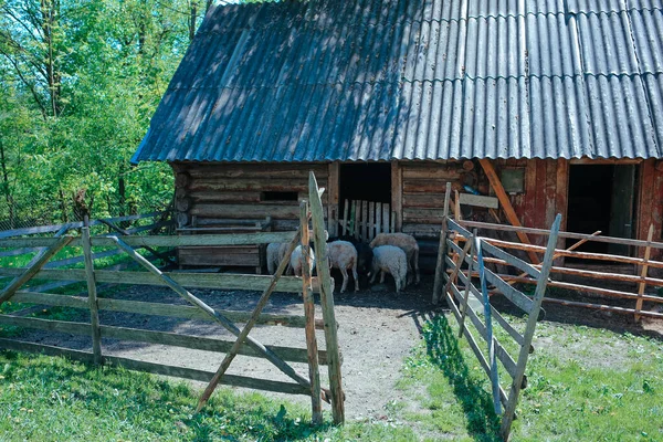 Una Vieja Granja Ovejas Las Montañas Concepto Viaje —  Fotos de Stock