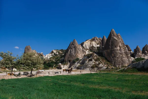 Kapadokya Daki Goreme Köyündeki Çiftliği — Stok fotoğraf