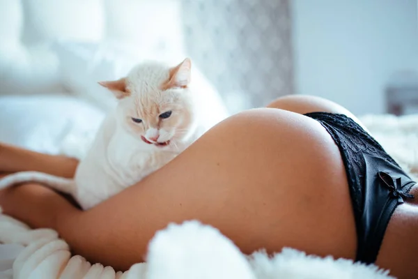 Beautiful round female ass in panties in the morning sunlight in the bedroom. The texture of the skin in the rays of the sunrise. Cat on background — Stock fotografie