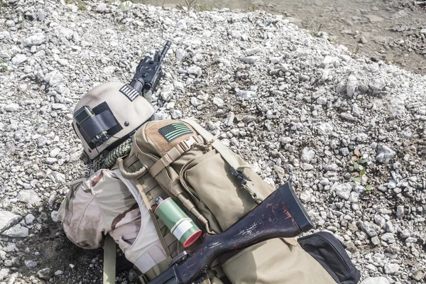 アクションで海軍シール — ストック写真