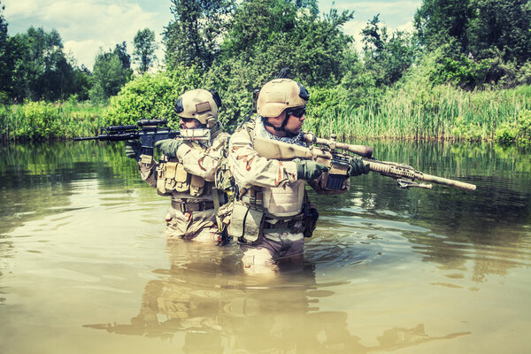 Морские котики