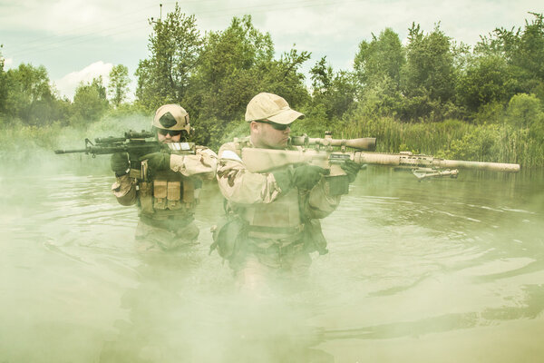 Морские котики