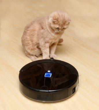 Robot elektrik süpürgesi. 