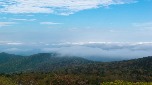 Nebbia scivola sulle montagne — Video Stock