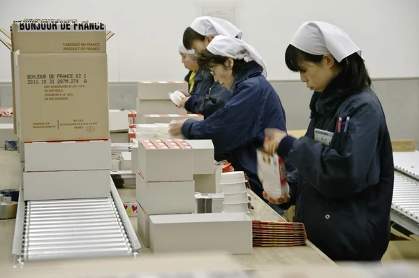 işçiler lojistik şirketi