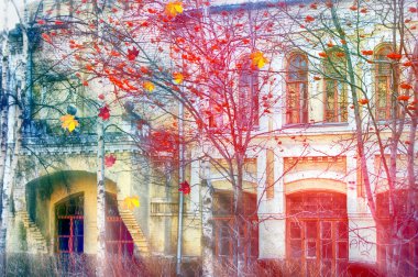 parlak üvez meyveleri ile ağaç yapraklar