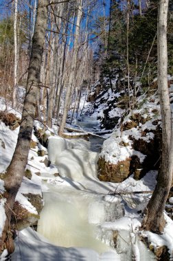 Ormanın içinde donmuş creek