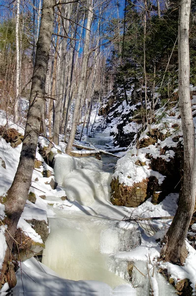 Bevroren creek in het bos — Stockfoto
