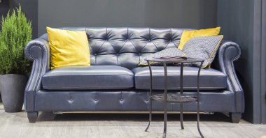 Kanepe ile ev dekorasyonu