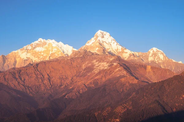 Paisaje Del Macizo Annapurna Nepal Atardecer — Foto de Stock