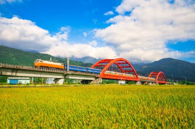 Hualien, Tayvan 'daki Yuli tren istasyonunun yanındaki Kecheng Köprüsü