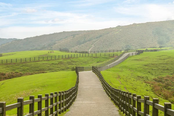 Qingtiangang Grassland Στο Εθνικό Πάρκο Yangmingshan Στο Taipei Taiwan — Φωτογραφία Αρχείου