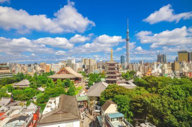 Japonya 'daki Senso Tapınağı ile Tokyo şehrinin havadan görüntüsü.