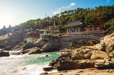 Güney Kore Busan 'daki Haedong Yonggung Tapınağı. Çeviri: Mahavira Salonu ve Dalmaji Salonu