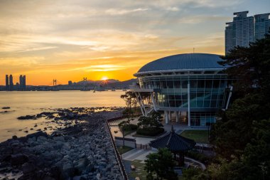 Güney Kore, Busan 'daki Dongbaekseom Adası manzarası