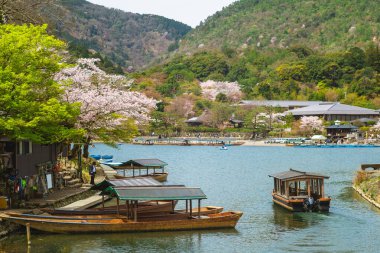 Arashiyama, Kyoto, Japonya 'daki Hozugawa Nehri' nde tekne turu.
