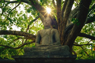 Anuradhapura, Sri Lanka 'daki Abhayagiri Dagoba stupasında Buda heykeli