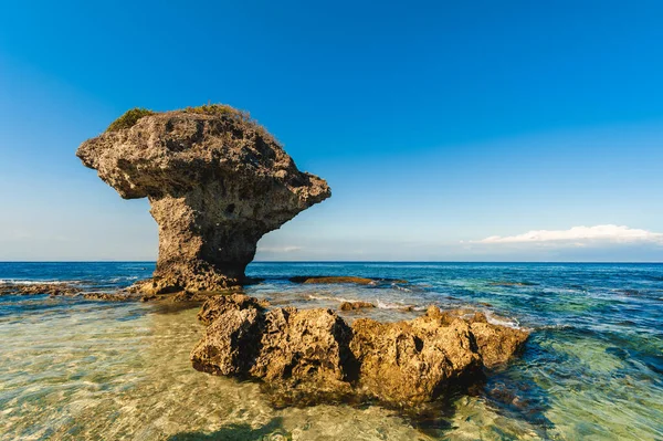 Flower Vase Coral Rock Ostrově Lamay Okrese Pingtung Tchaj Wan — Stock fotografie