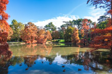 İspanya, Madrid 'deki Retiro Park' ta bulunan Buen Retiro Büyük Havuzu 'nun Sahnesi.