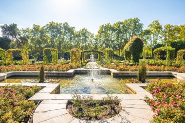 Rosaleda, İspanya, Madrid 'deki Retiro Park' taki gül bahçesi.