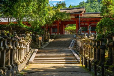 Kasuga Taisha, Japonya, Kansai, Nara City 'de bin fenerli bir tapınak.