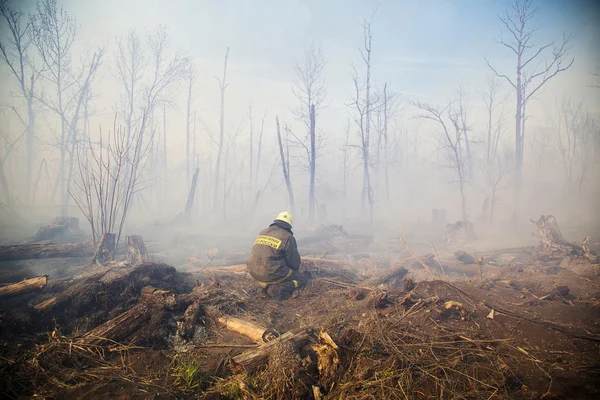 Waldbrand — Stockfoto