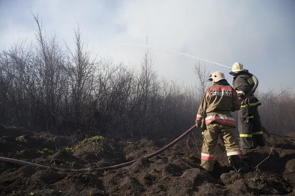 Waldbrand — Stockfoto