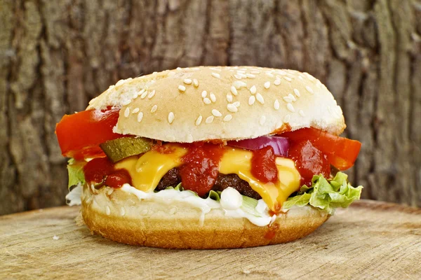 Cheeseburger with salad — Stock Photo, Image