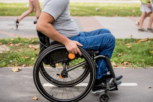 Handicapped man in wheelchair walk at the park alley