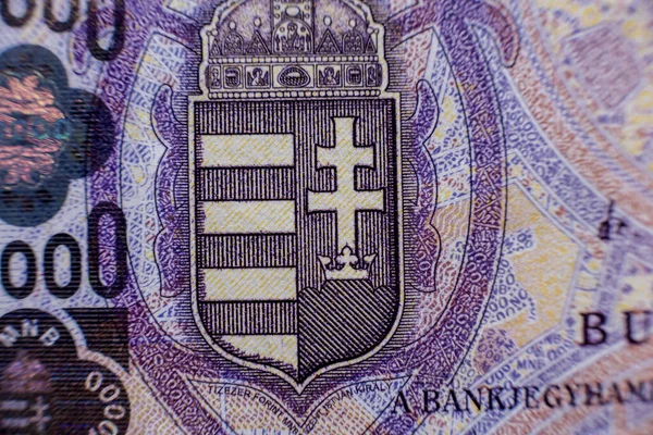 Světová sbírka peněz. Fragments of Hungary money — Stock fotografie