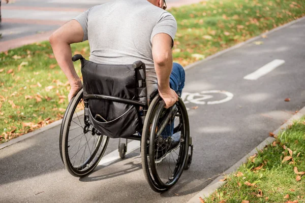 Handicapped man in wheelchair walk at the park alley