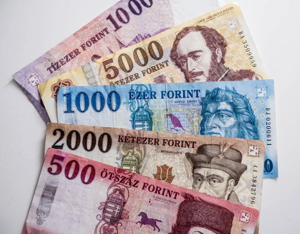 Мировая коллекция денег. Фрагменты венгерских денег — стоковое фото