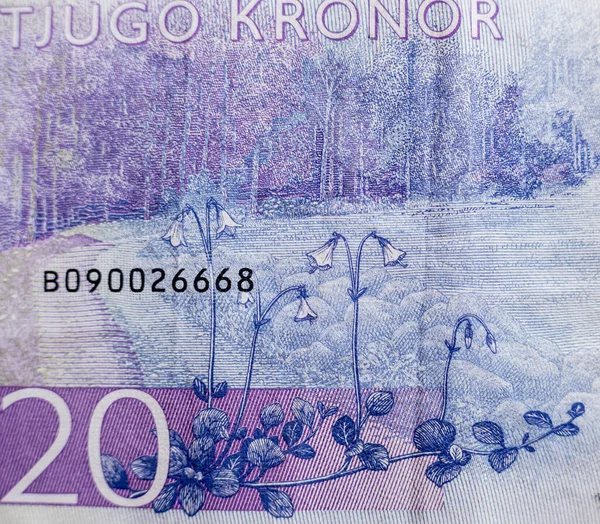 Collecte d'argent mondiale. Fragments de monnaie suédoise — Photo