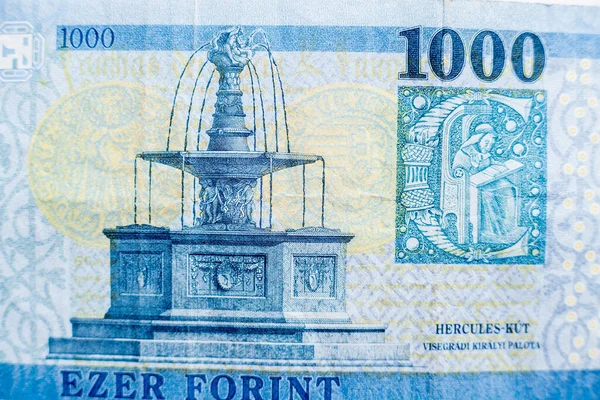 Мировая коллекция денег. Фрагменты венгерских денег — стоковое фото