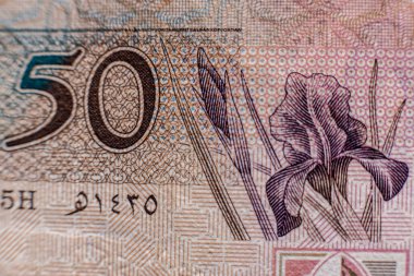 Dünya para koleksiyonu. Ürdün parasının parçaları