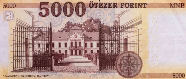 Weltweite Geldsammlung. Fragmente ungarischen Geldes — Stockfoto