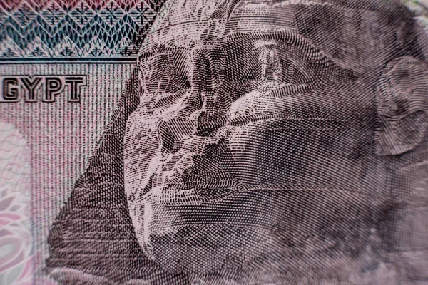 World money collection. Fragments of Egypt money — Stock Photo, Image