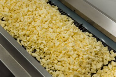 Modern bir fabrikada atıştırmalık ve cips taşıma hattı.