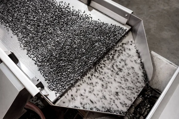 Roasted sunflower seeds equipment at modern factory