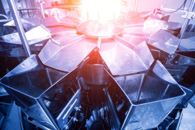 Bir fabrikada dikey çoklu başlı ambalaj makinesi atıştırmalıkları ve çipler