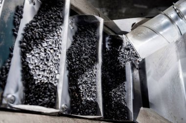 Modern fabrikada kavrulmuş ayçekirdeği ekipmanı.