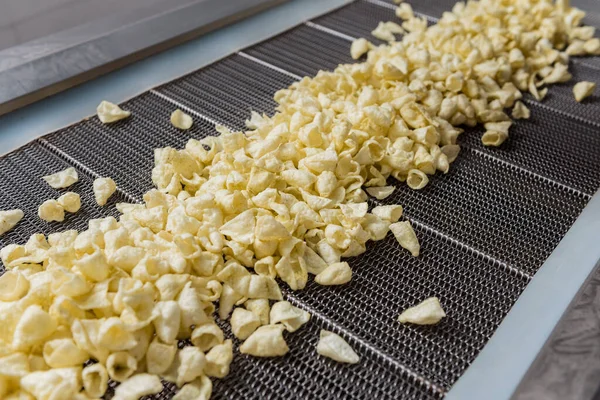 Transportlijn voor het bakken van snacks en chips in een moderne fabriek — Stockfoto