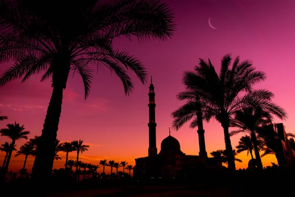 Красивая большая исламская мечеть на фоне заката солнца — стоковое фото