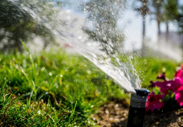 Automatisk bevattningssystem för sprinkler i trädgården — Stockfoto