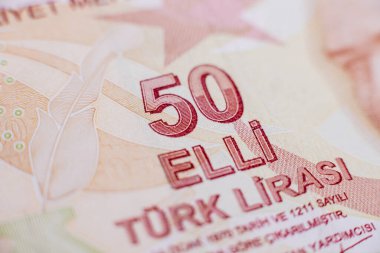 Dünya para koleksiyonu. Türk parasının parçaları